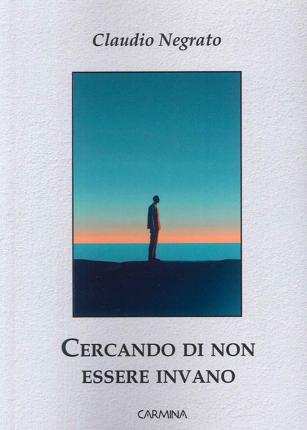 Cercando di non essere invano book