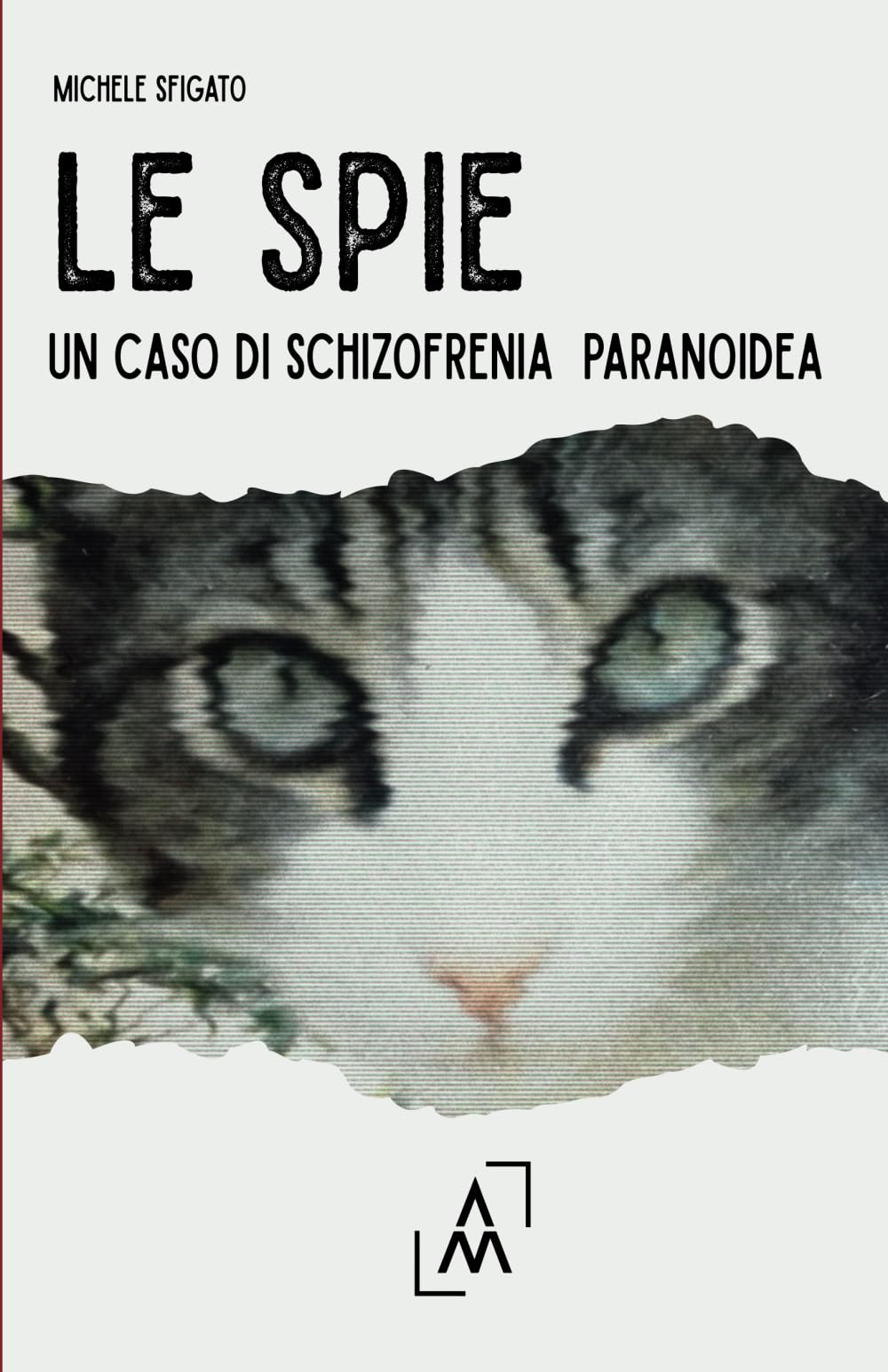 Le spie: Un caso di schizofrenia paranoidea Personalities