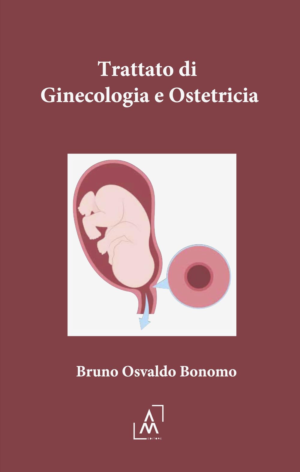 Trattato di ginecologia e ostetricia (Sapientia) Medicine