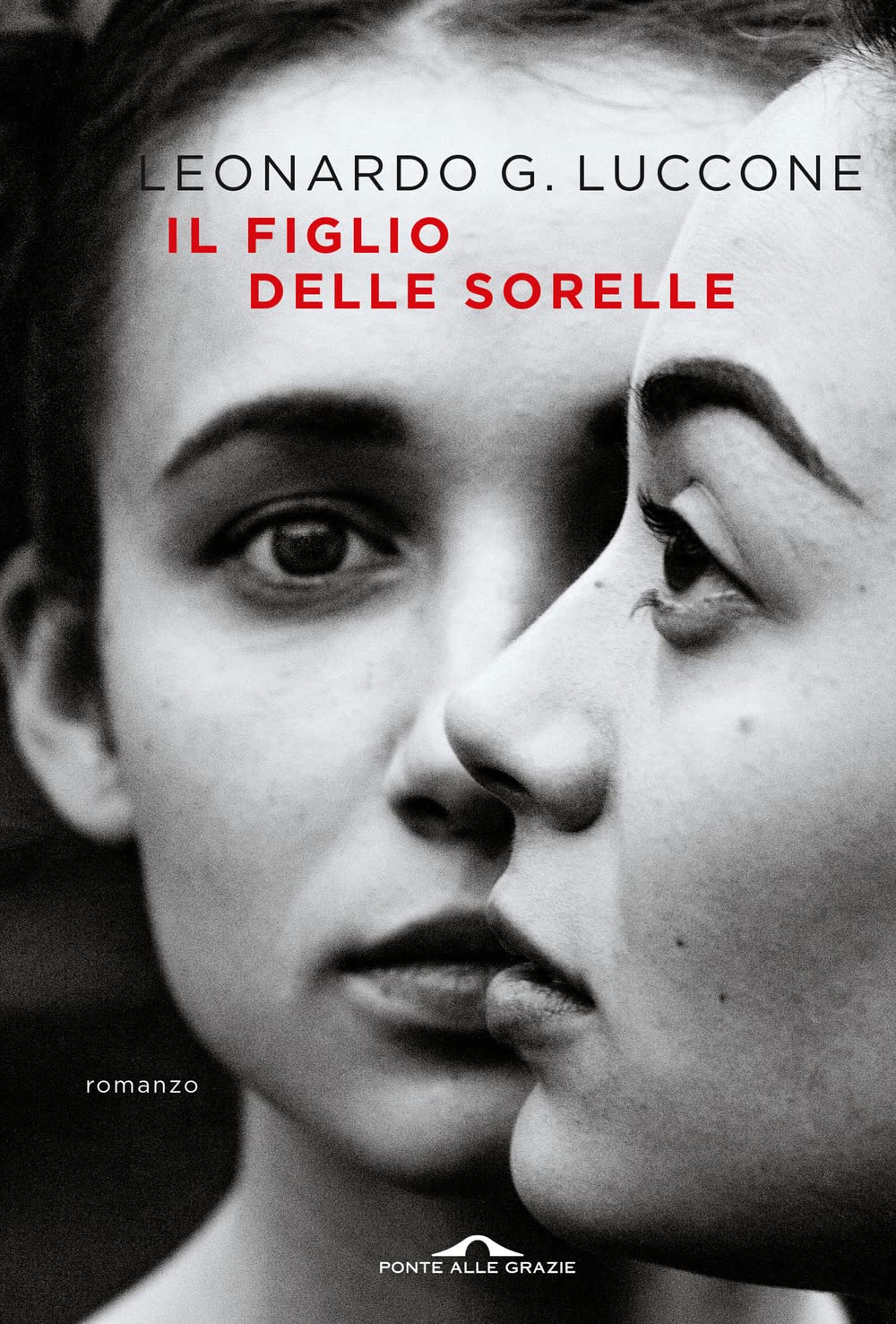 Il figlio delle sorelle Contemporary literature Books