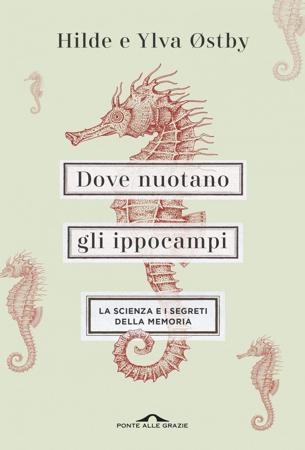 Dove nuotano gli ippocampi. La scienza e i segreti della memoria Natural Sciences