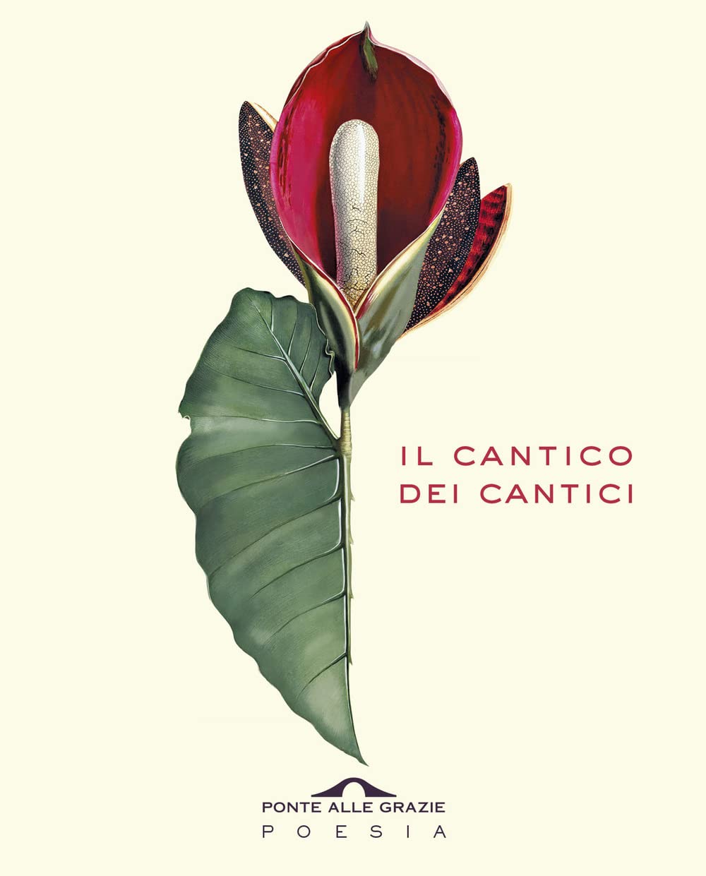 Il cantico dei cantici. Testo ebraico a fronte book