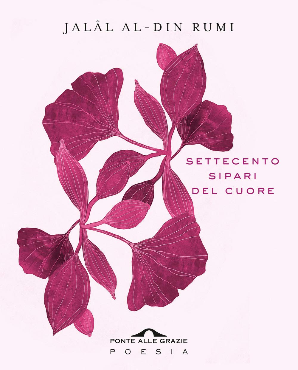 Settecento sipari del cuore book