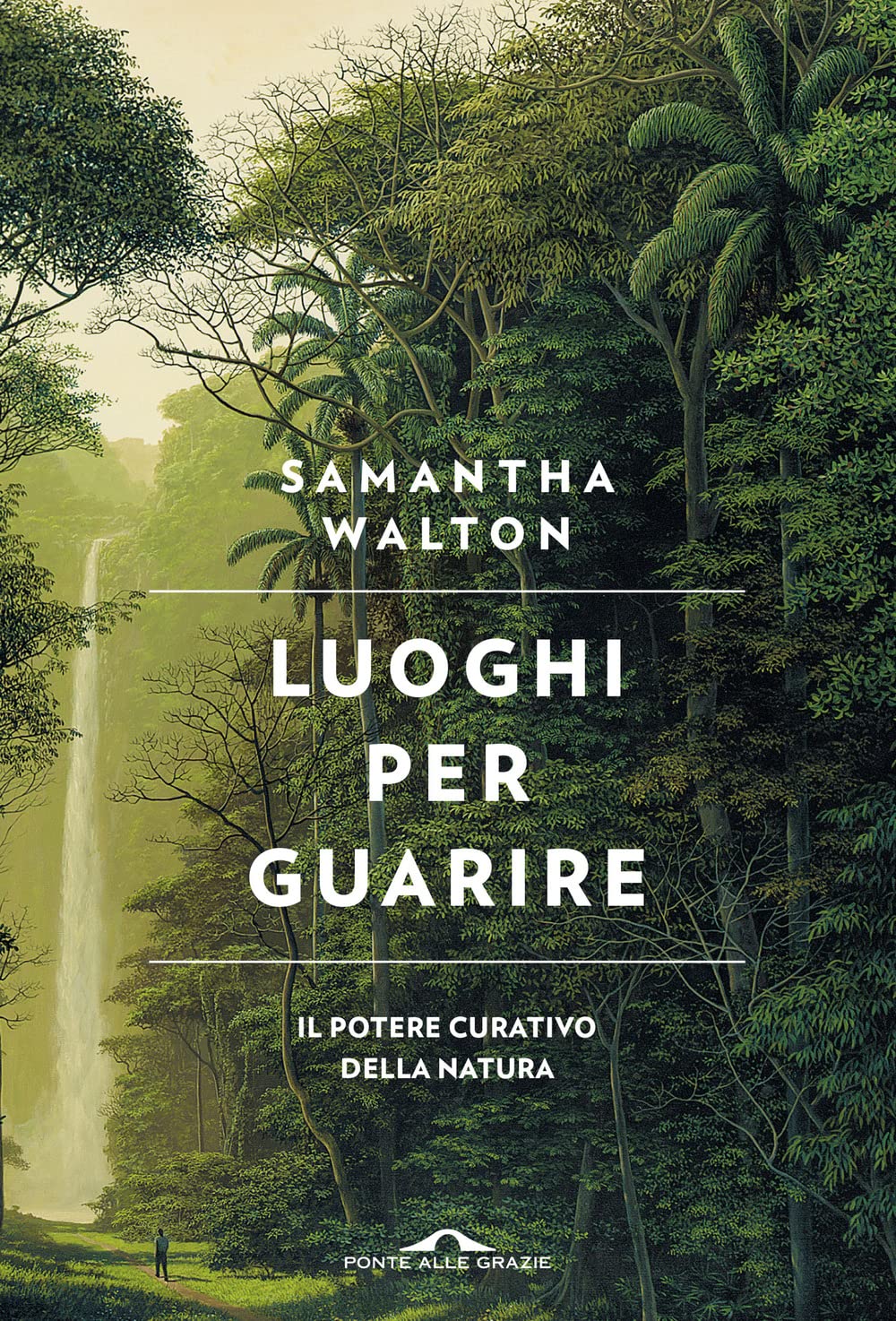 Luoghi per guarire. Il potere curativo della natura book