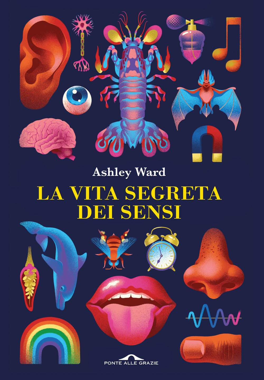 La vita segreta dei sensi Social Sciences