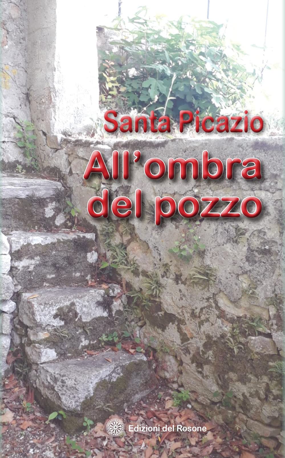 All'ombra del pozzo book