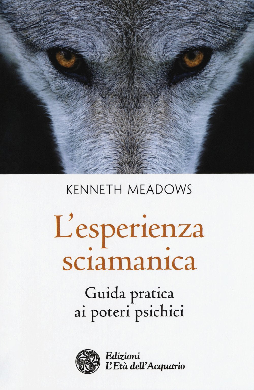 L'esperienza sciamanica. Guida pratica ai poteri psichici book