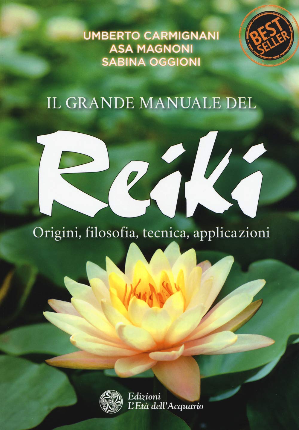 Il grande manuale del reiki. Origini, filosofia, tecnica, applicazioni book