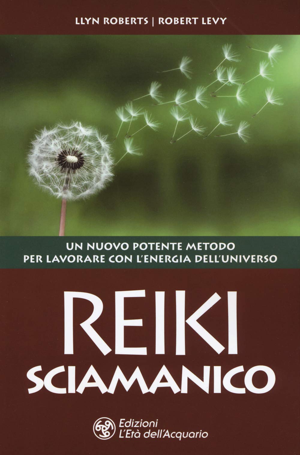 Reiki sciamanico. Un nuovo potente metodo per lavorare con l'energia dell'universo Religion & Esotericism