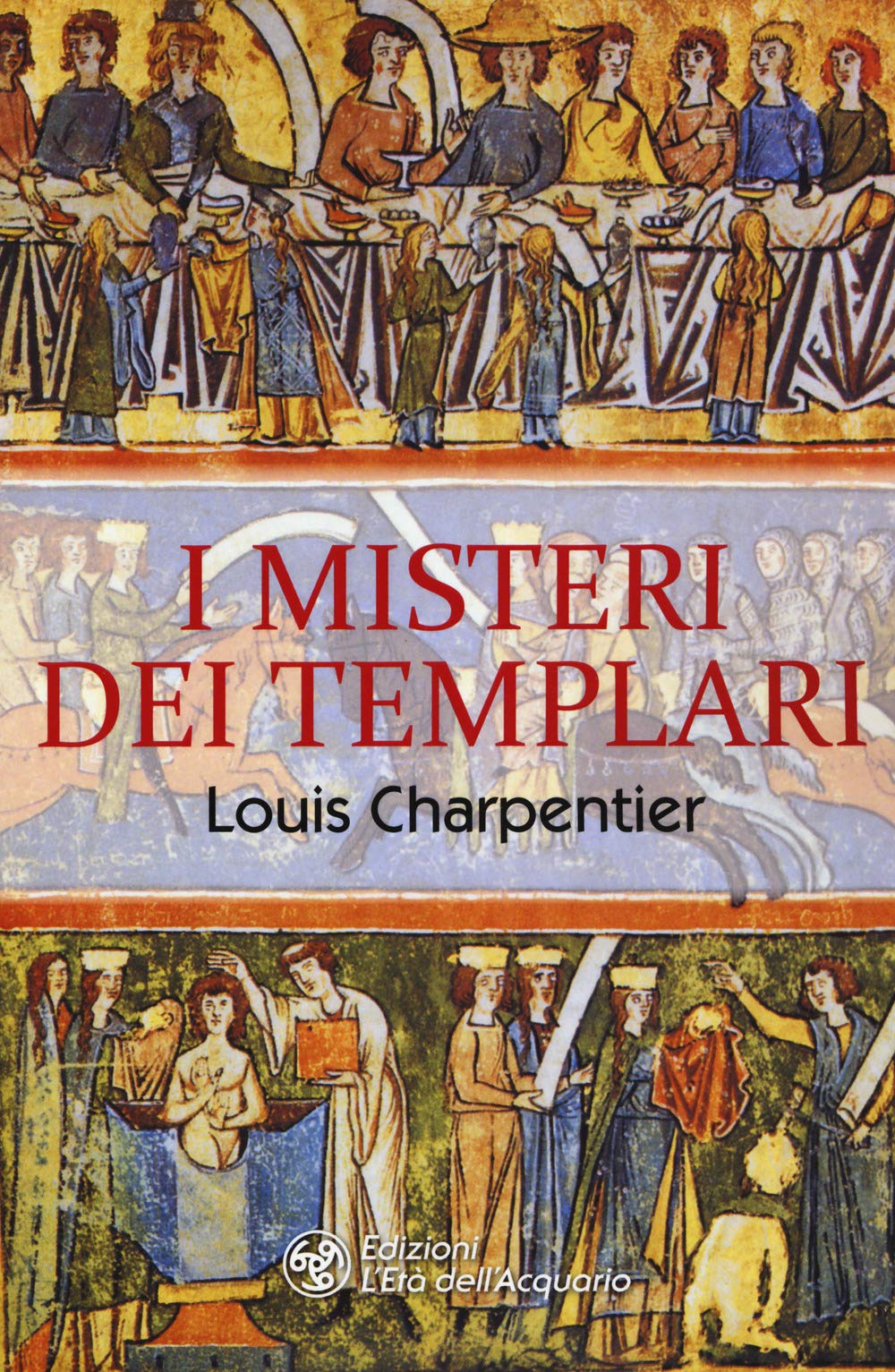 I misteri dei Templari book
