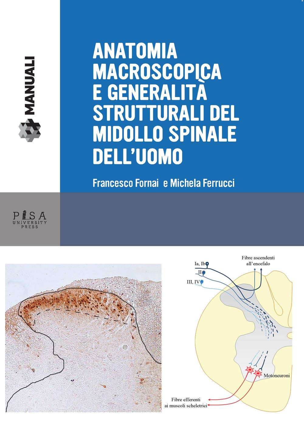 Anatomia funzionale del midollo spinale e delle sue vie sensitive e motorie book