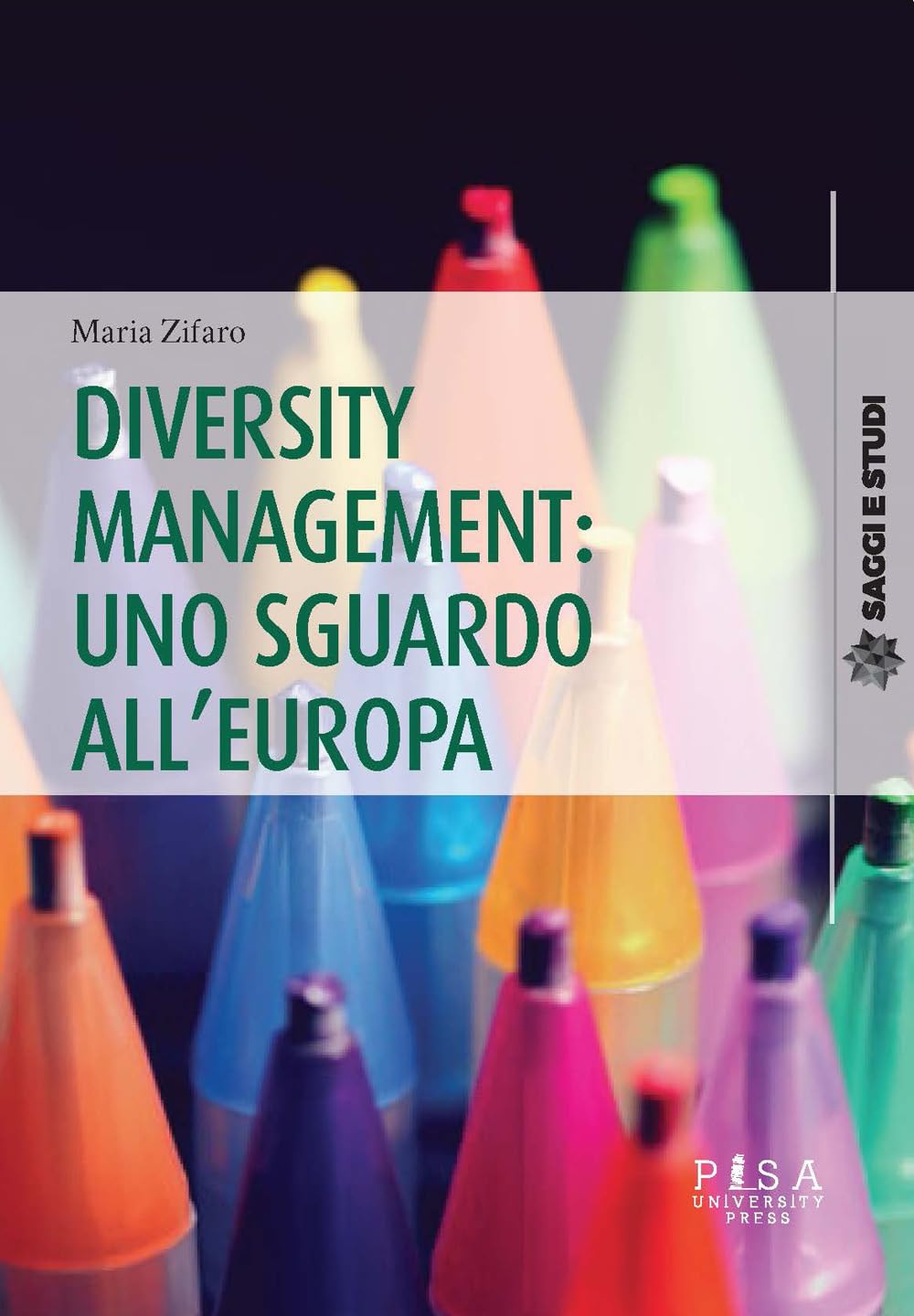 Diversity management: uno sguardo all'Europa book