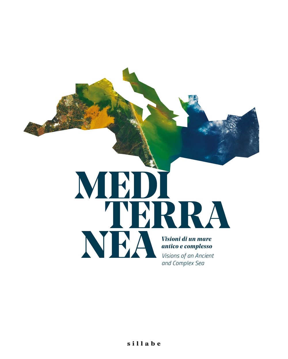 Mediterranea. Visioni di un mare antico e complesso- Visions of an ancient anche complex sea. Ediz. bilingue Politics & History