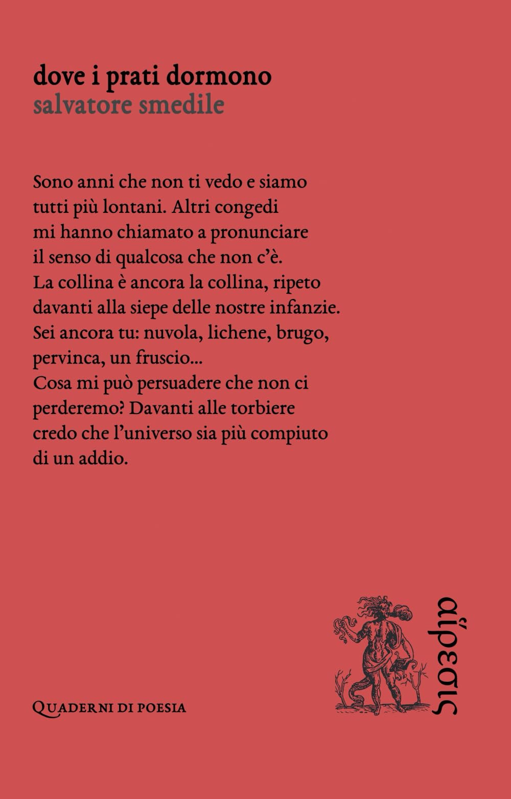 Dove i prati dormono book