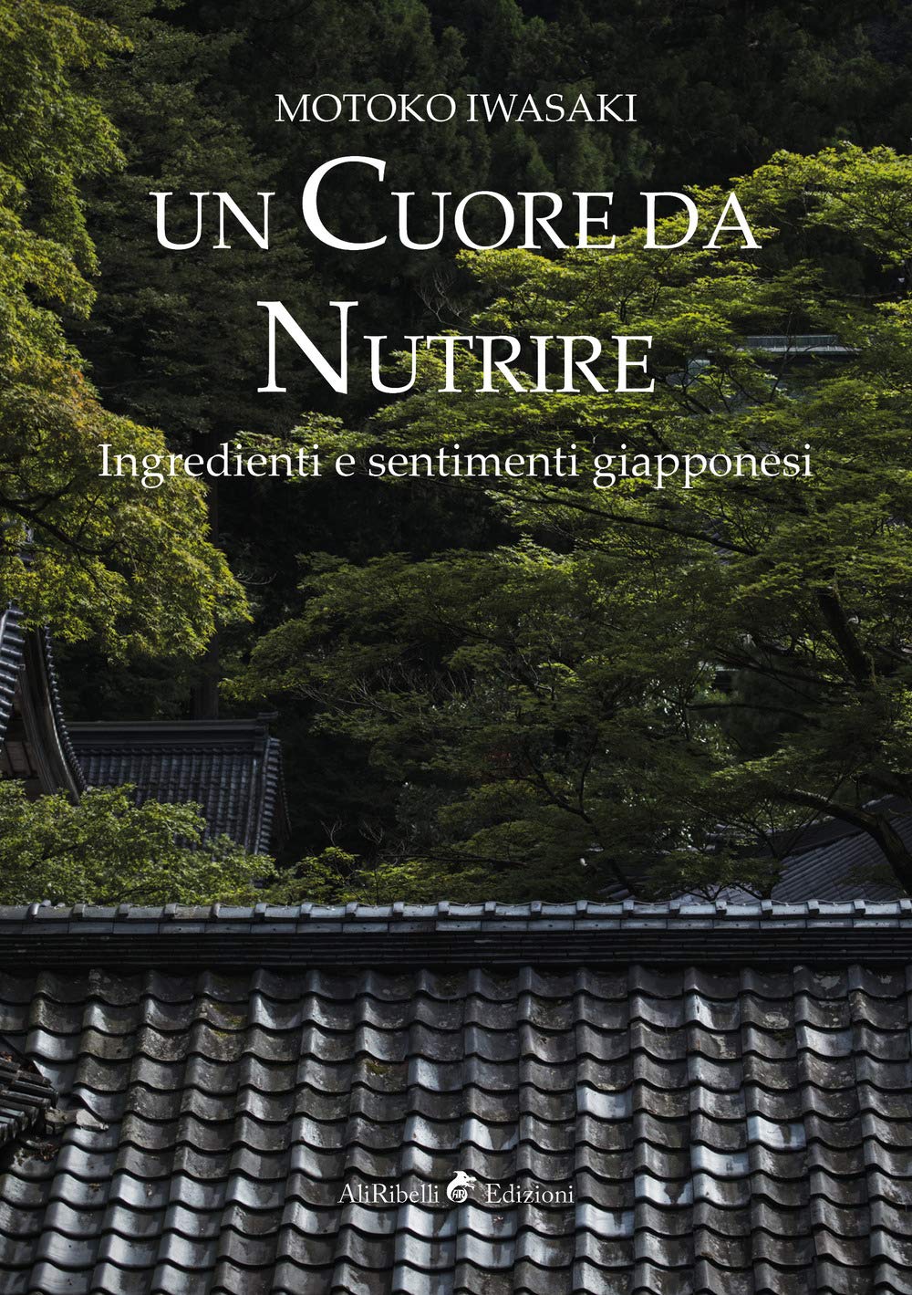 Un cuore da nutrire. Ingredienti e sentimenti giapponesi book