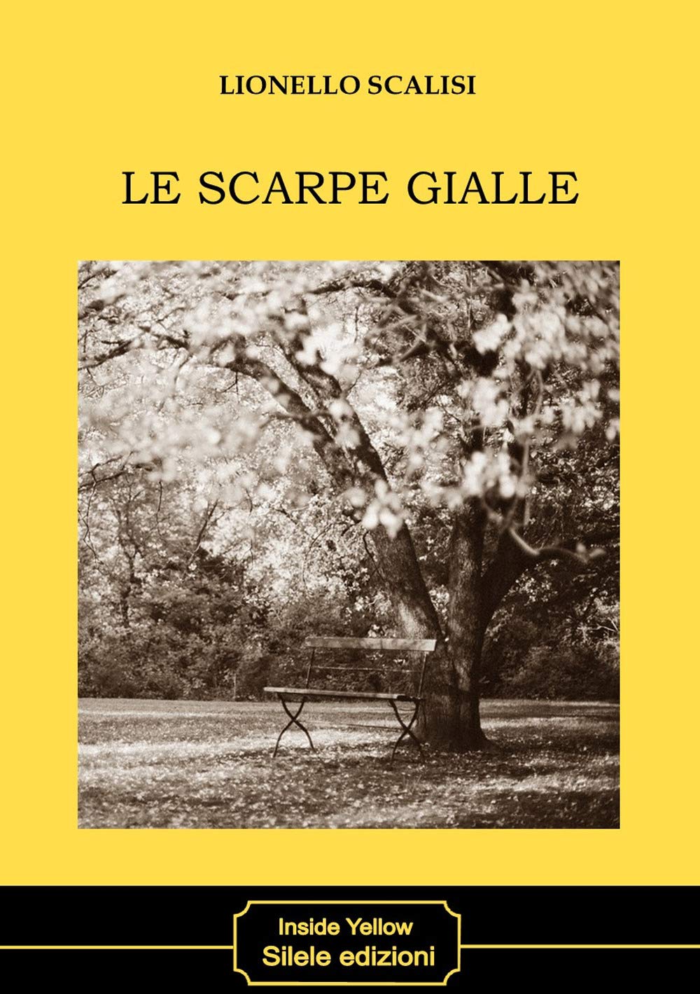 Le scarpe gialle book