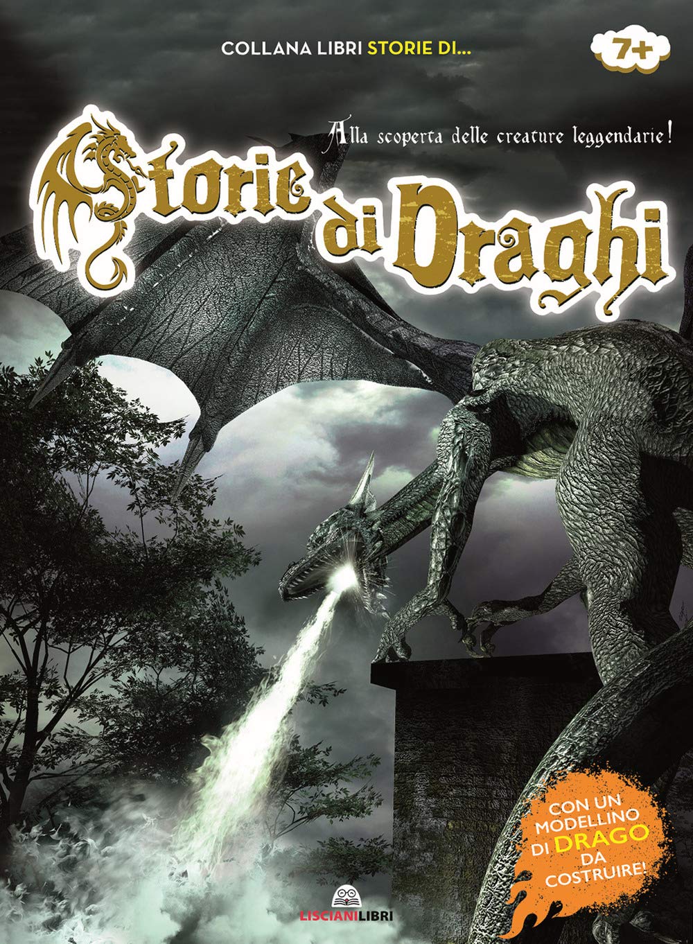 Storie di draghi. Alla scoperta delle creature leggendarie! Con gadget Non-fiction