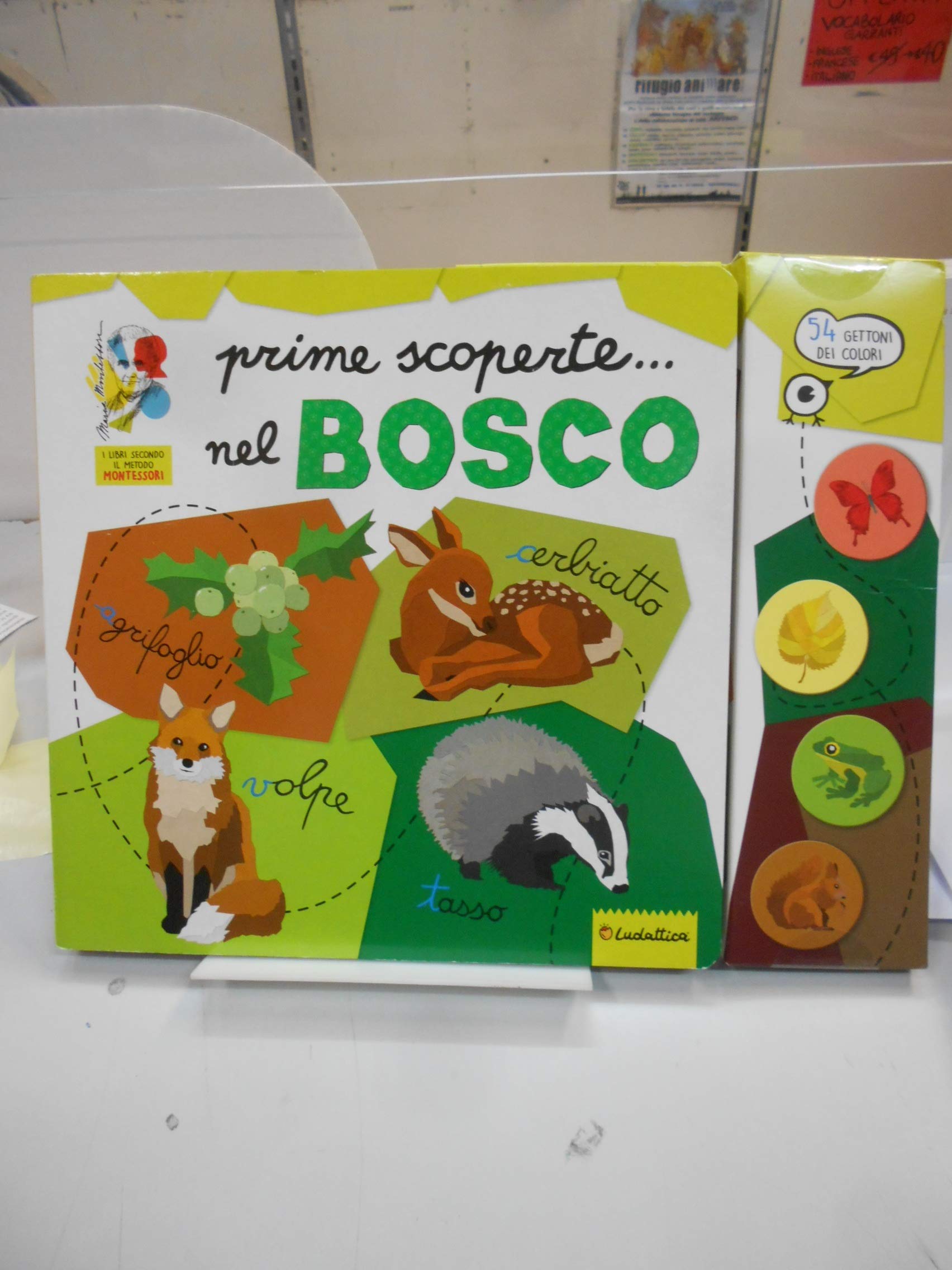 Prime scoperte... nel bosco. I libri gioco secondo il metodo Montessori. Ediz. a colori. Con 52 gadget Non-fiction
