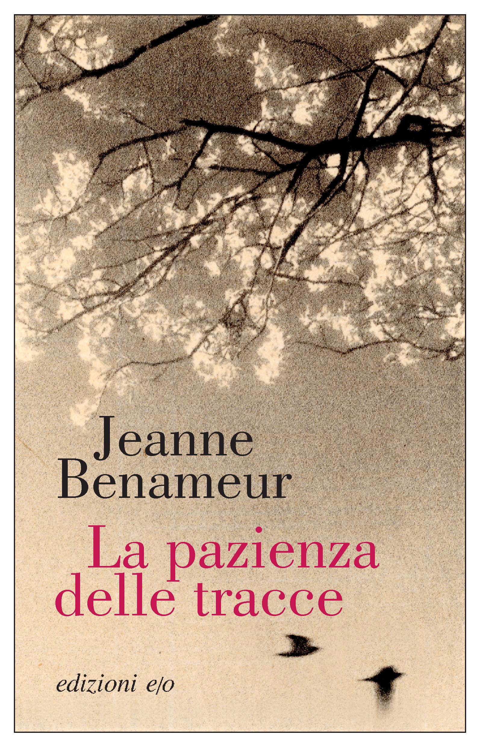 La pazienza delle tracce book
