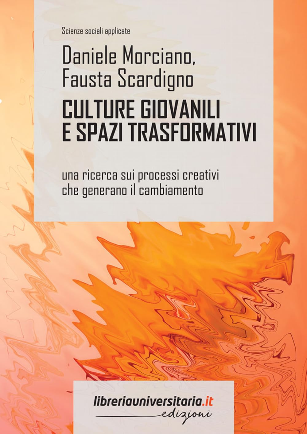 Culture giovanili e spazi trasformativi. Una ricerca sui processi creativi che generano il cambiamento book