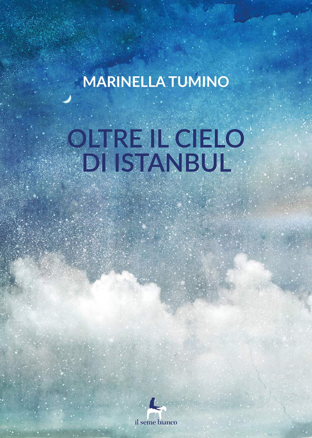 Oltre il cielo di Istanbul book