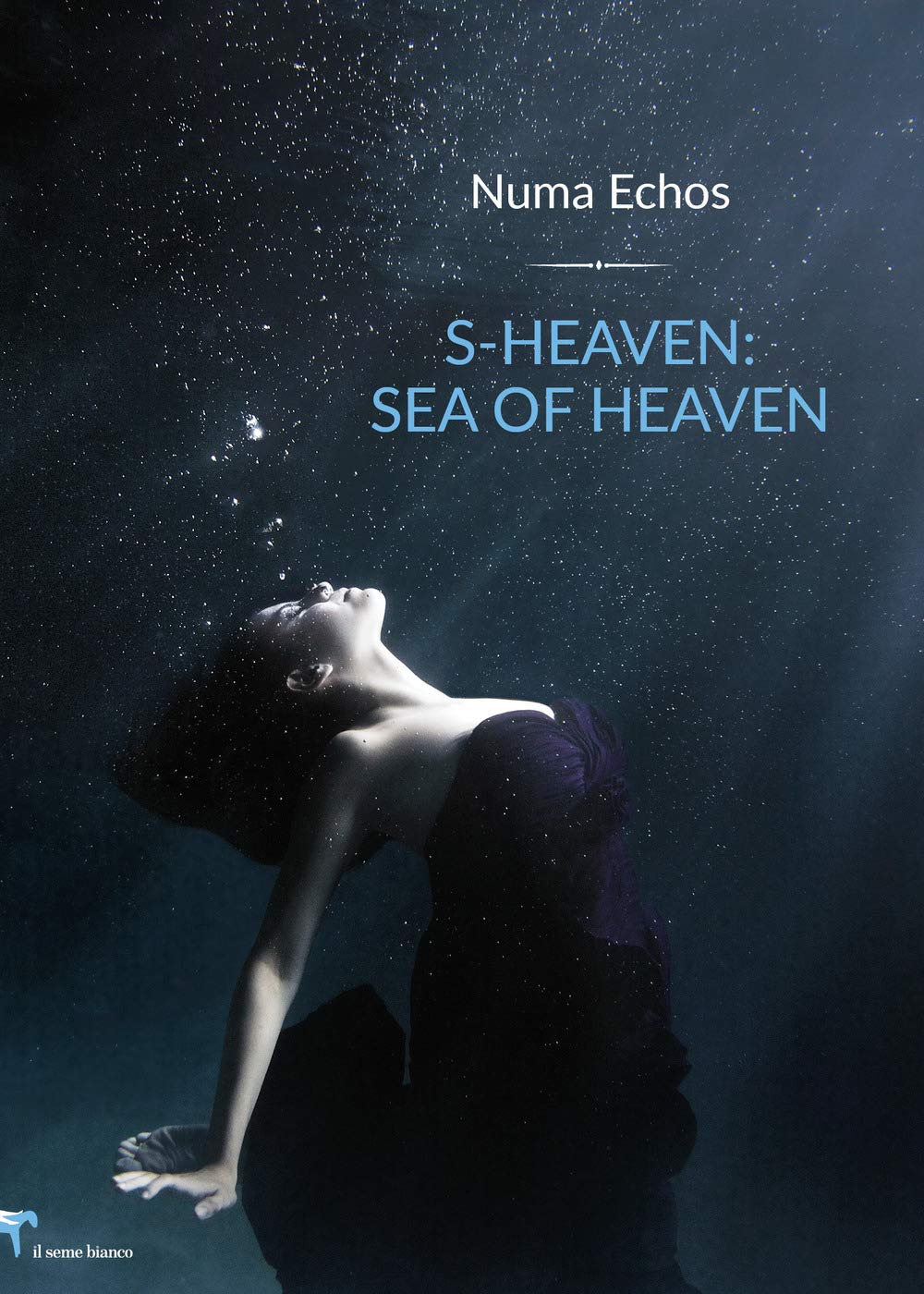 S-Heaven: Sea of Heaven (Magnolia) Contemporary literature