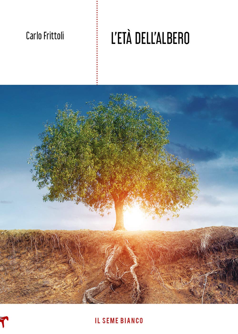 L’età dell’albero (Magnolia) Contemporary literature