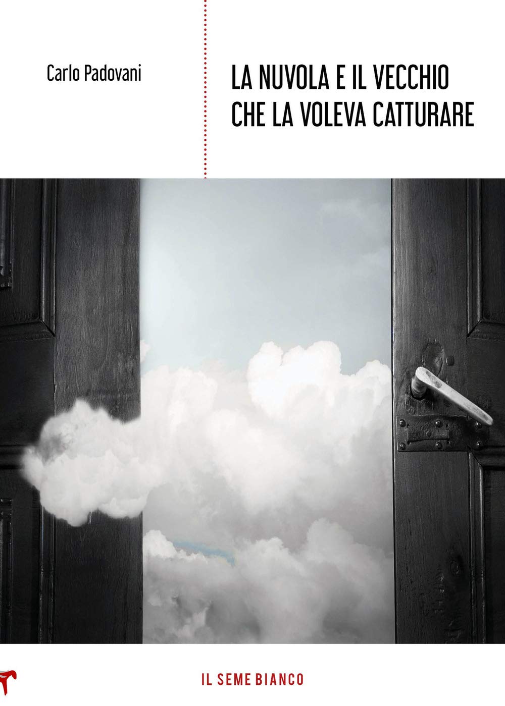 La nuvola e il vecchio che la voleva catturare (Magnolia) Contemporary literature
