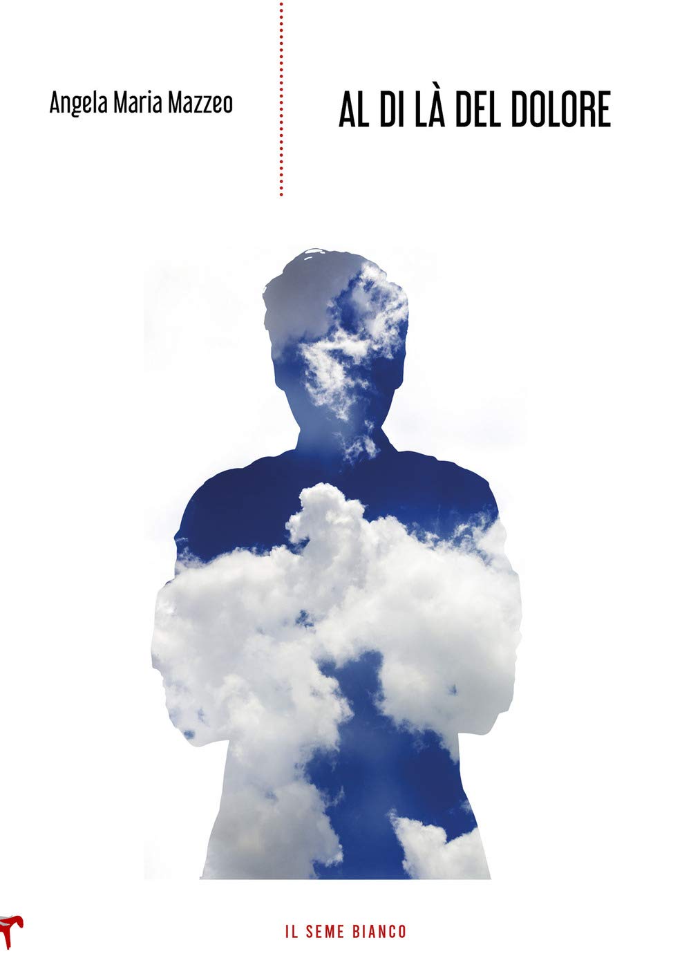 Al di là del dolore (Magnolia) Contemporary literature