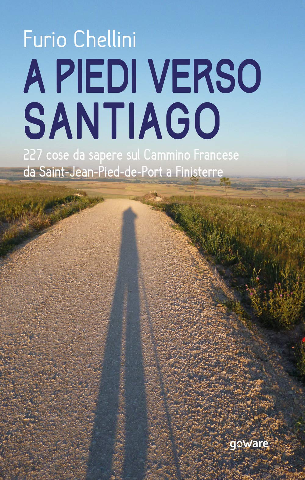 A piedi verso Santiago. 227 cose da sapere sul Cammino Francese da Saint-Jean-Pied-de-Port a Finisterre book