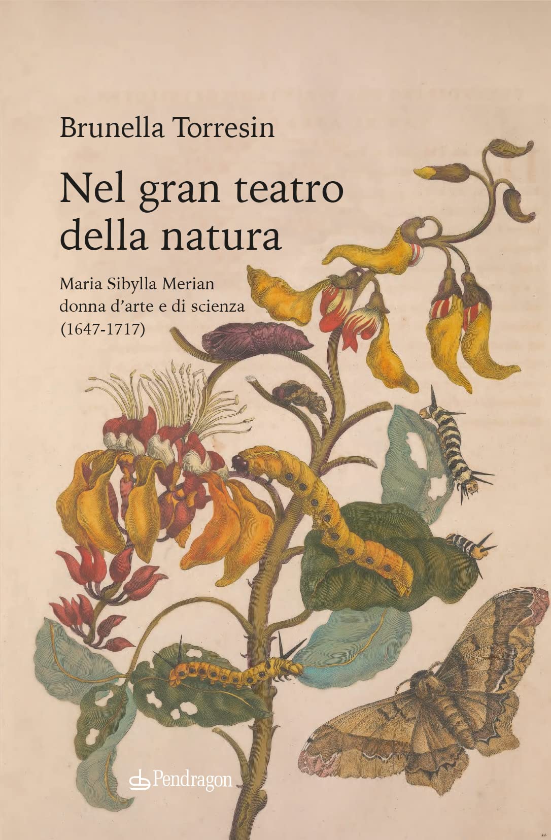Nel gran teatro della natura. Maria Sibylla Merian donna d'arte e di scienza (1647-1717) Film & Music