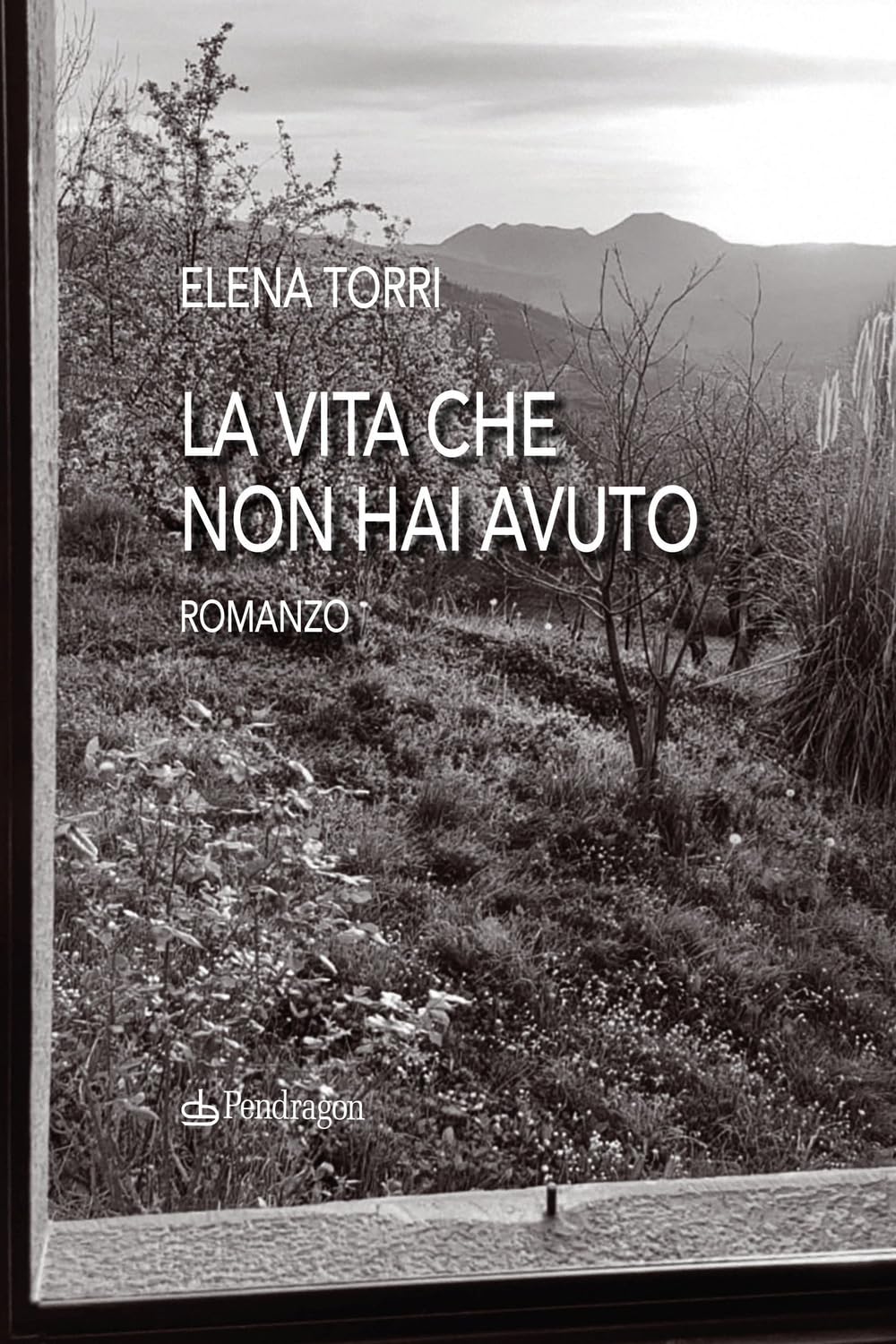 La vita che non hai avuto Contemporary literature