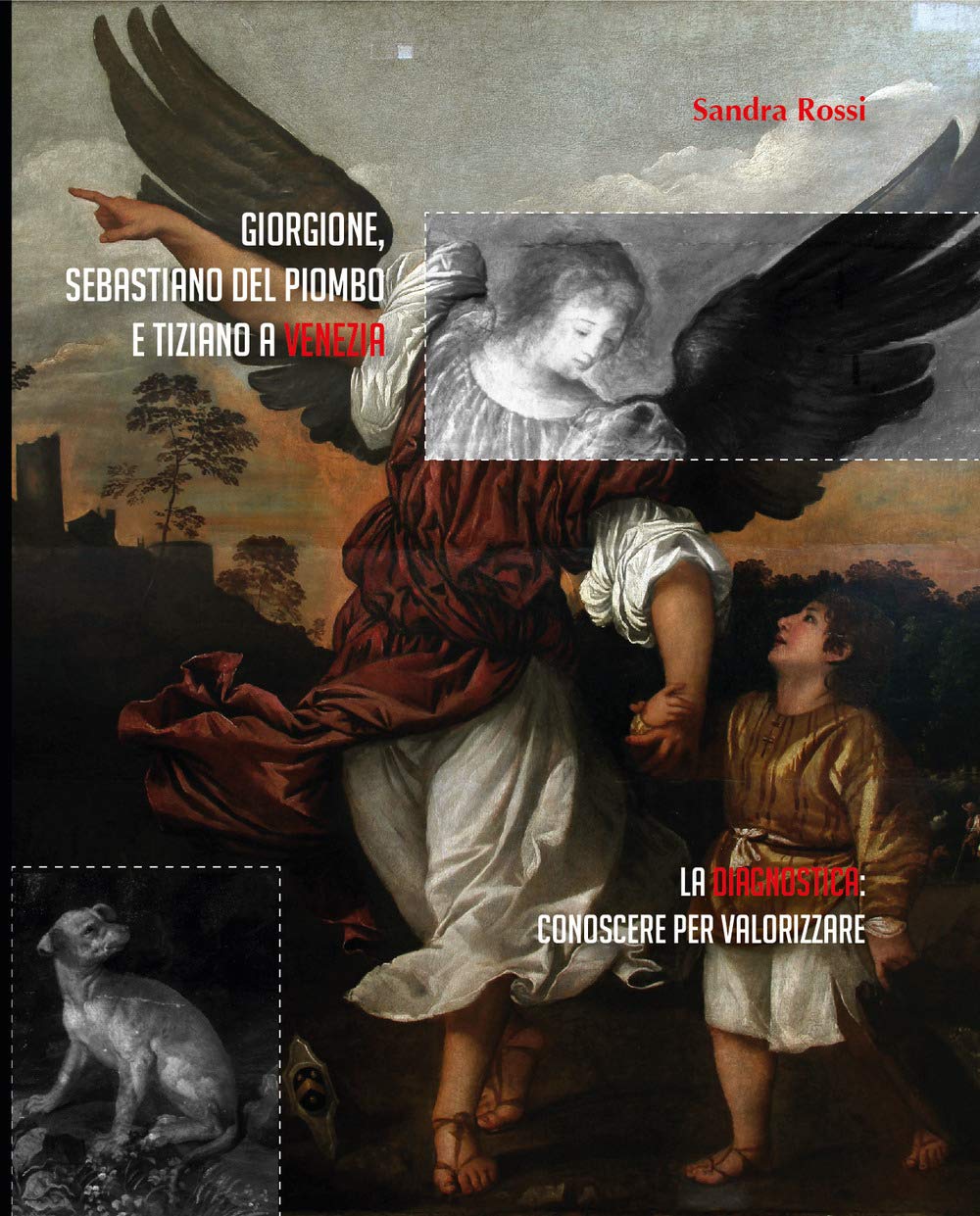 Giorgione, Sebastiano del Piombo e Tiziano a Venezia. La diagnostica: conoscere per valorizzare book