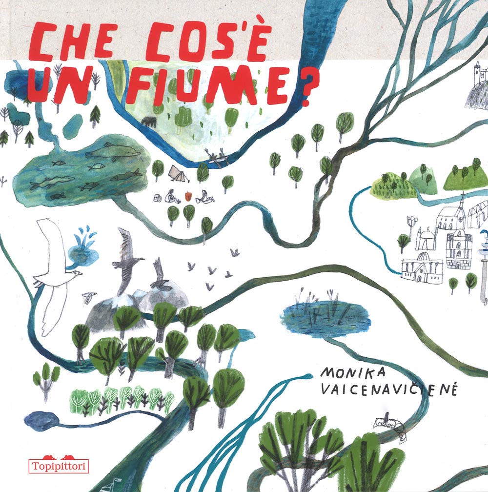Che cos'è un fiume? Ediz. a colori book