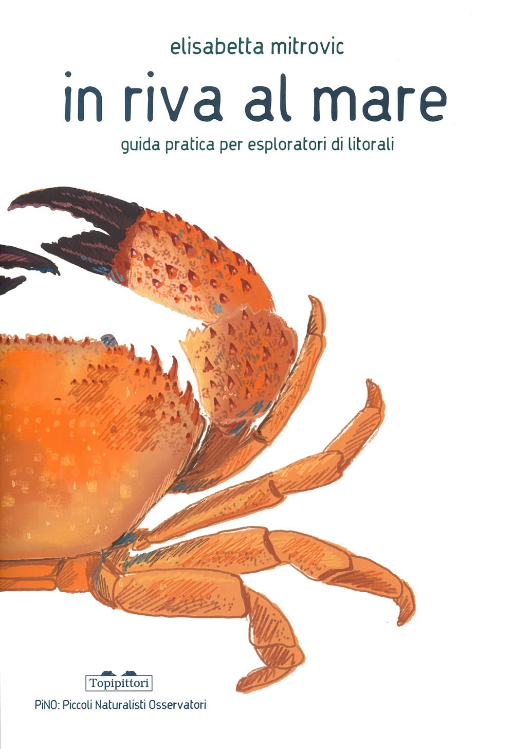 In riva al mare. Guida pratica per esploratori di litorali (PiNO. Piccoli naturalisti osservatori) Non-fiction