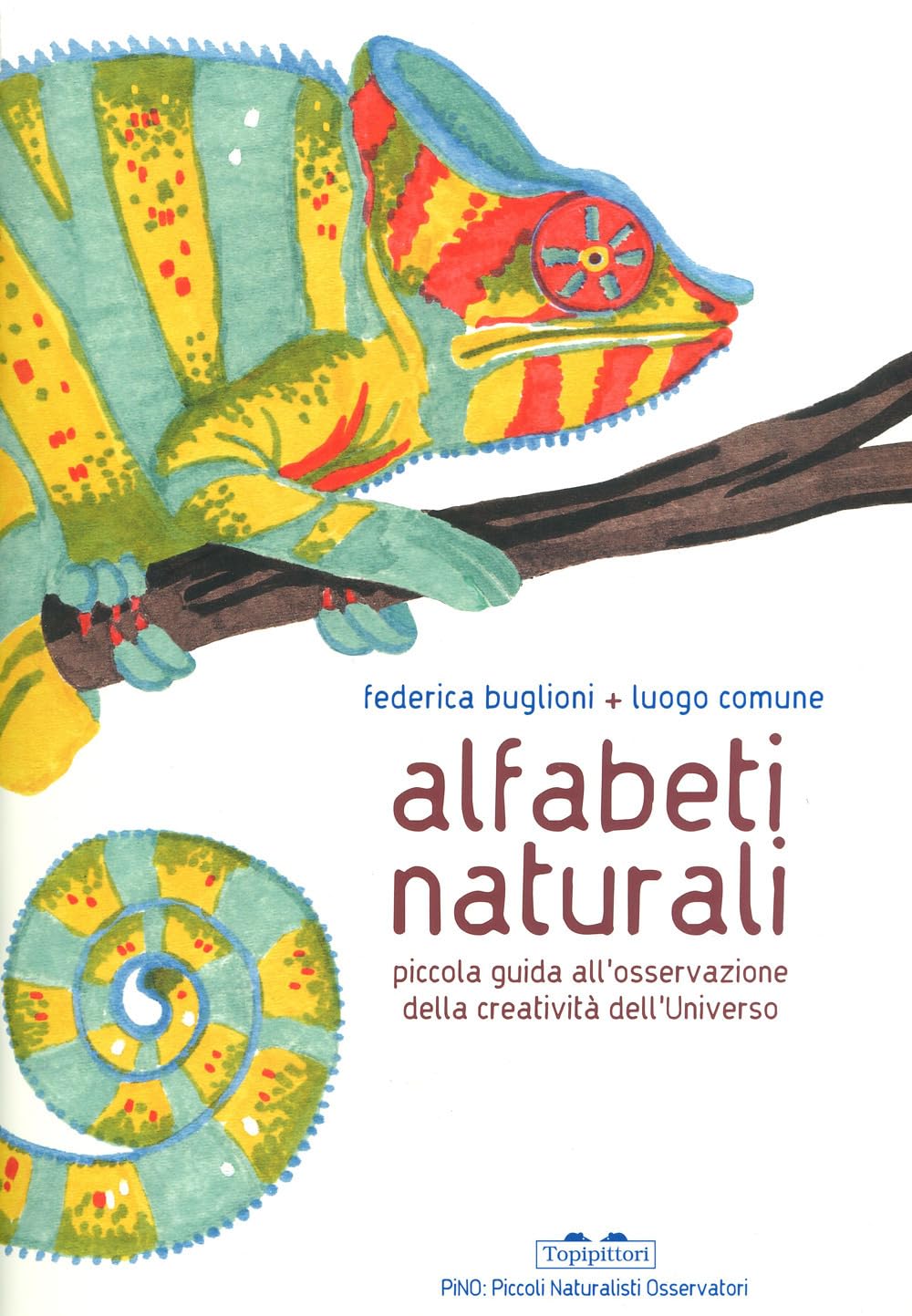 Alfabeti naturali. Piccola guida all'osservazione della creatività dell'universo Non-fiction