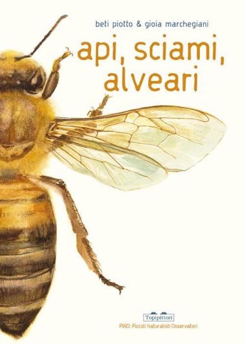 Api, sciami, alveari. Ediz. a colori (PiNO. Piccoli naturalisti osservatori) Non-fiction