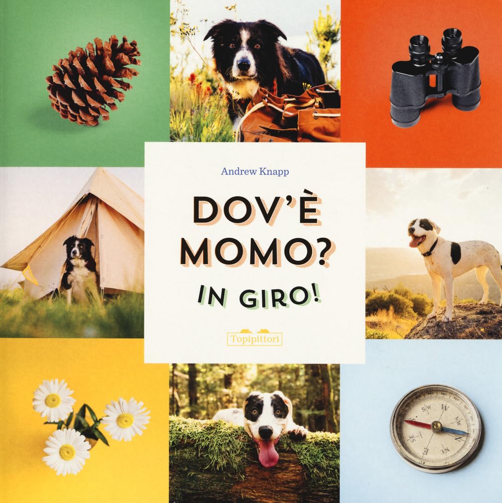 Dov'è Momo? In giro! Ediz. a colori book