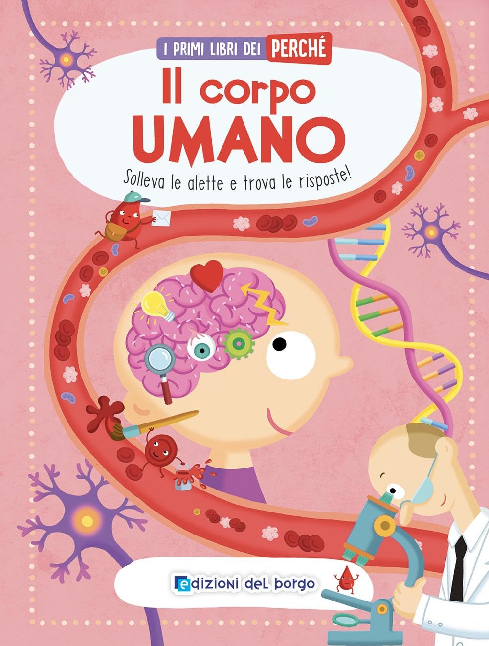 Il corpo umano. I primi libri del perché. Ediz. a colori Non-fiction