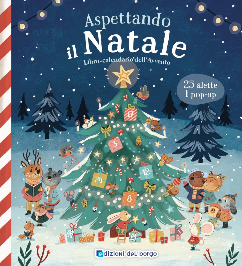 Aspettando il Natale. Libro-calendario dell'Avvento. Ediz. a colori book