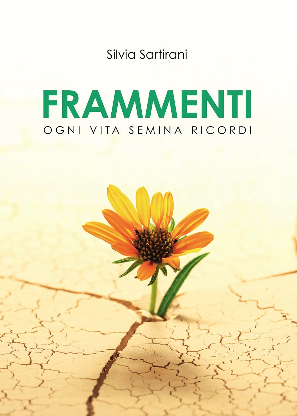 Frammenti. Ogni vita semina ricordi book