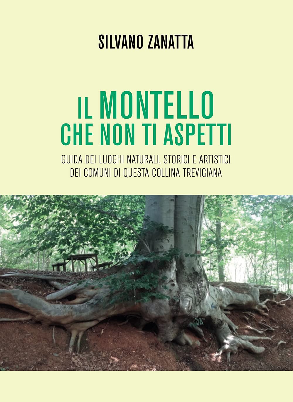 Il Montello che non ti aspetti. Guida dei luoghi naturali, storici e artistici dei comuni di questa collina trevigiana book