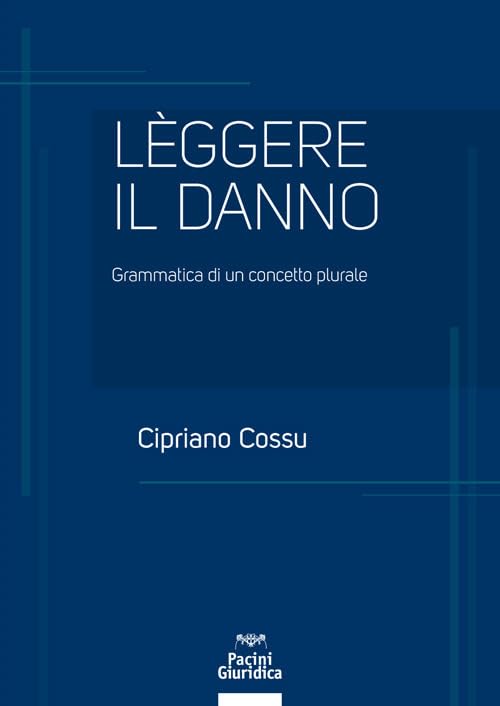 Leggere il danno. Grammatica di un concetto plurale book