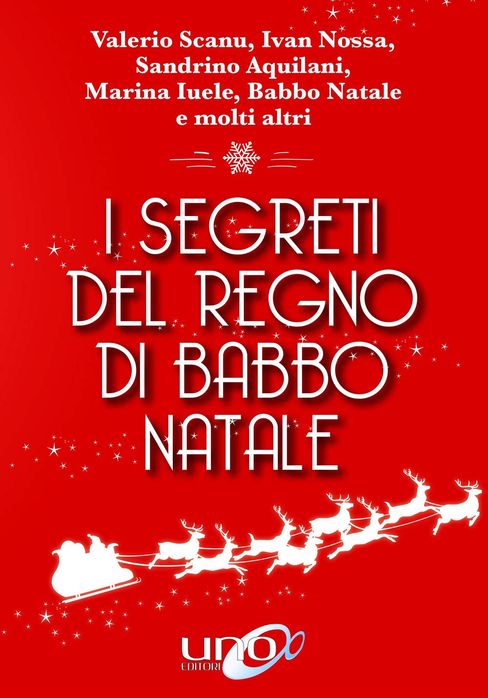 I segreti del regno di Babbo Natale book