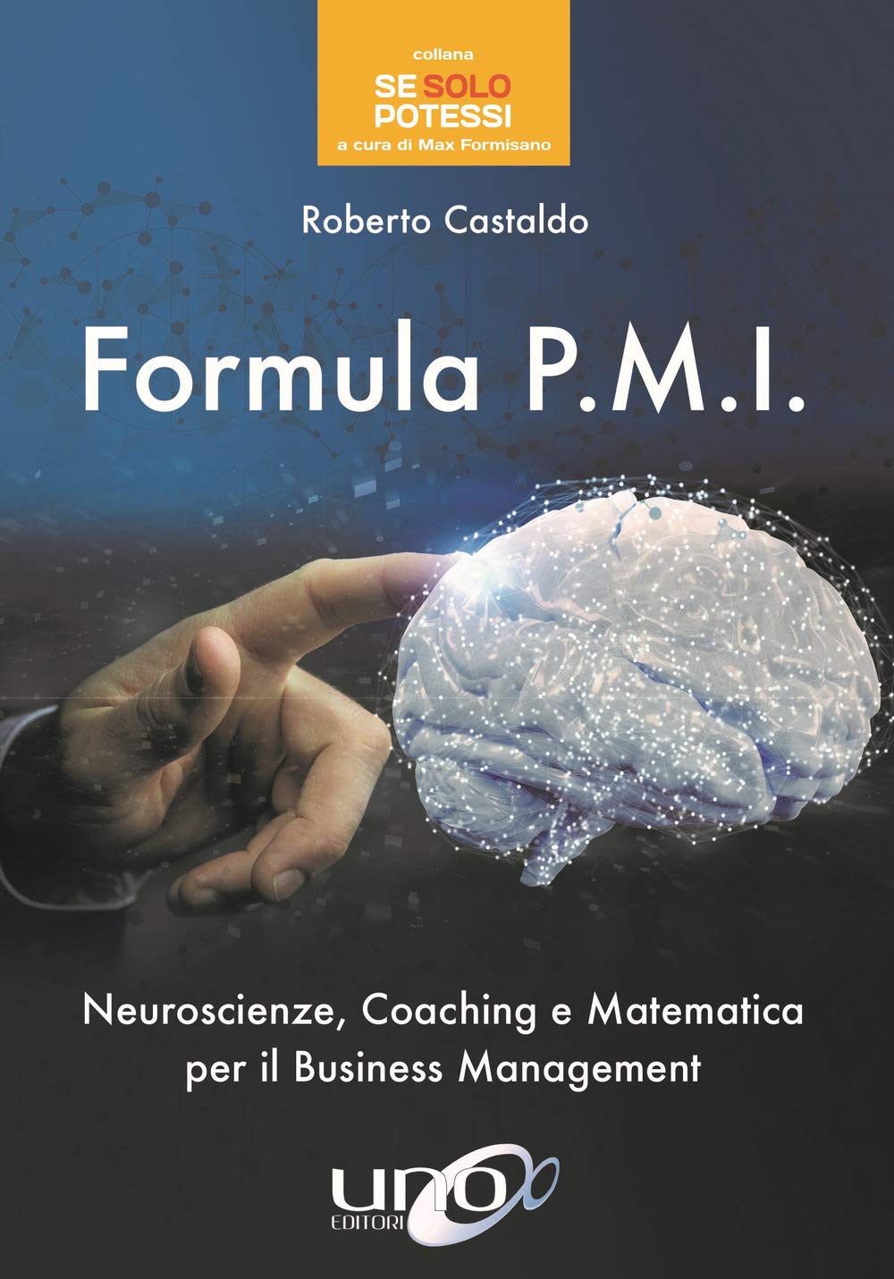 Formula P.M.I. Neuroscienze, coaching e matematica per il business management book