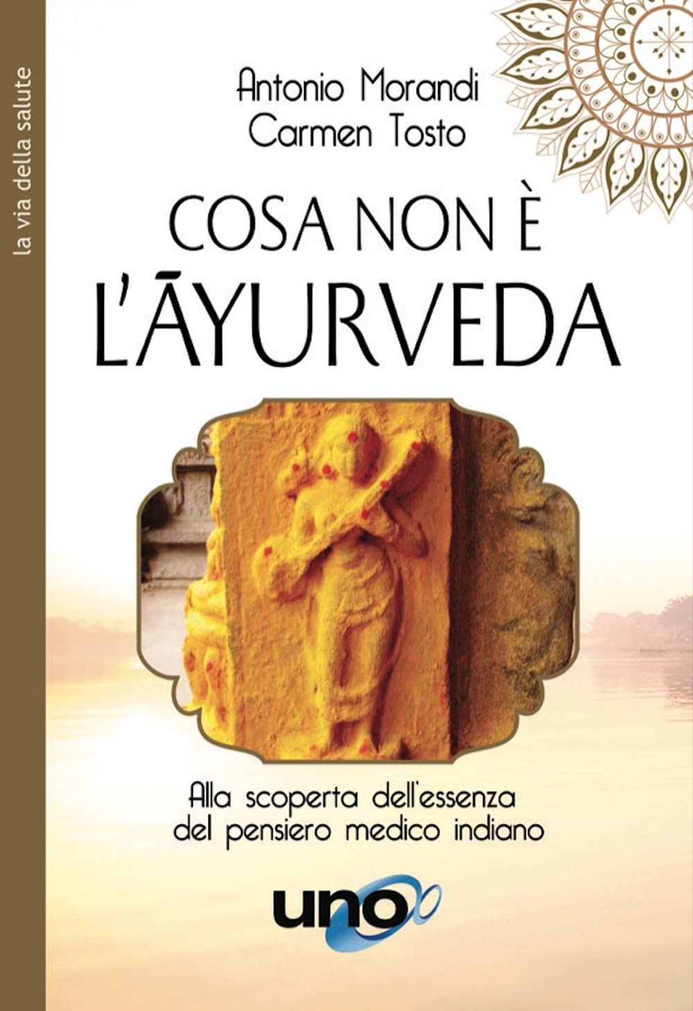 Cosa non è l'Ayurveda. Alla scoperta dell'essenza del pensiero medico indiano (La via della salute) Health, Nutrition & Fitness