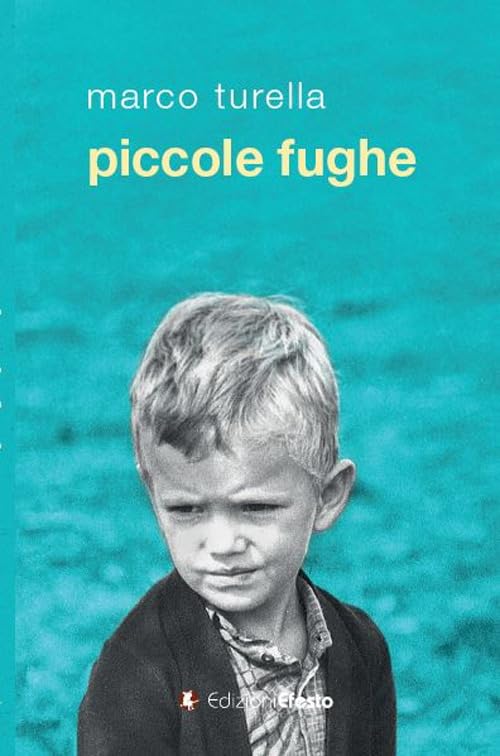Piccole fughe book