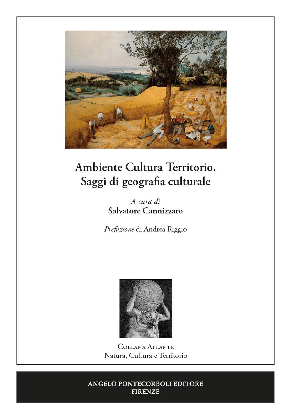 Ambiente cultura territorio. Saggi di geografia culturale (Atlante) Geology & Geography