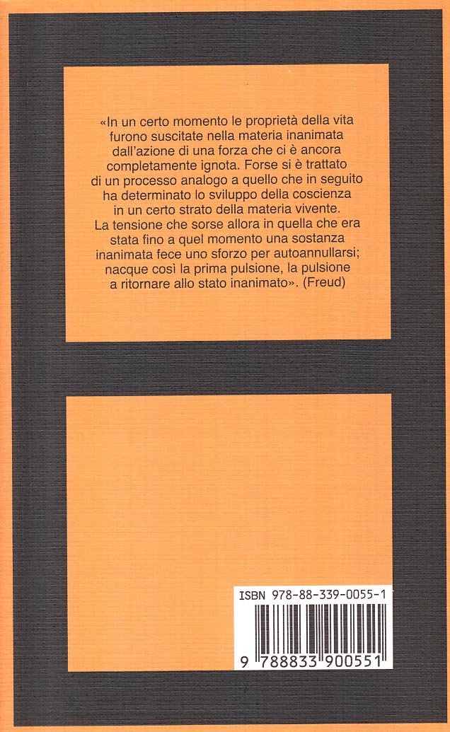 Al di là del principio di piacere (Biblioteca Bollati Boringhieri) Psychology