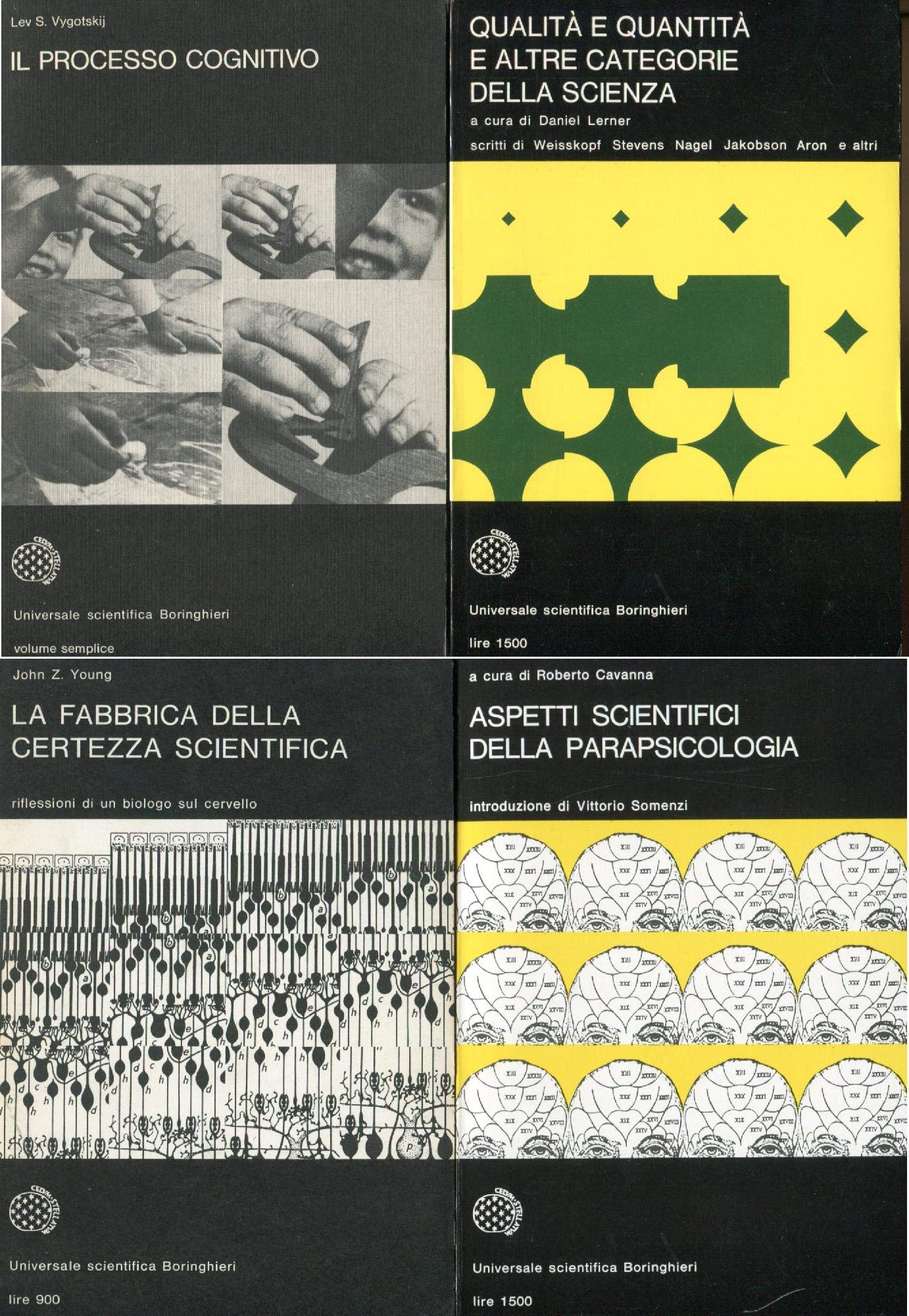Il processo cognitivo (Universale Bollati Boringhieri-S. scient.) Psychology